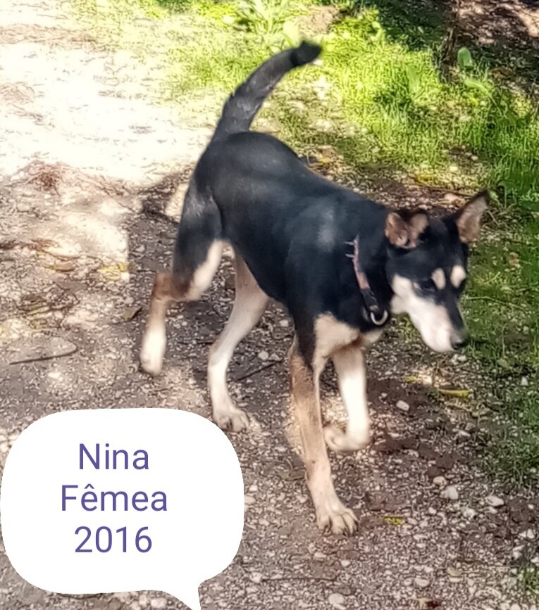 Nina