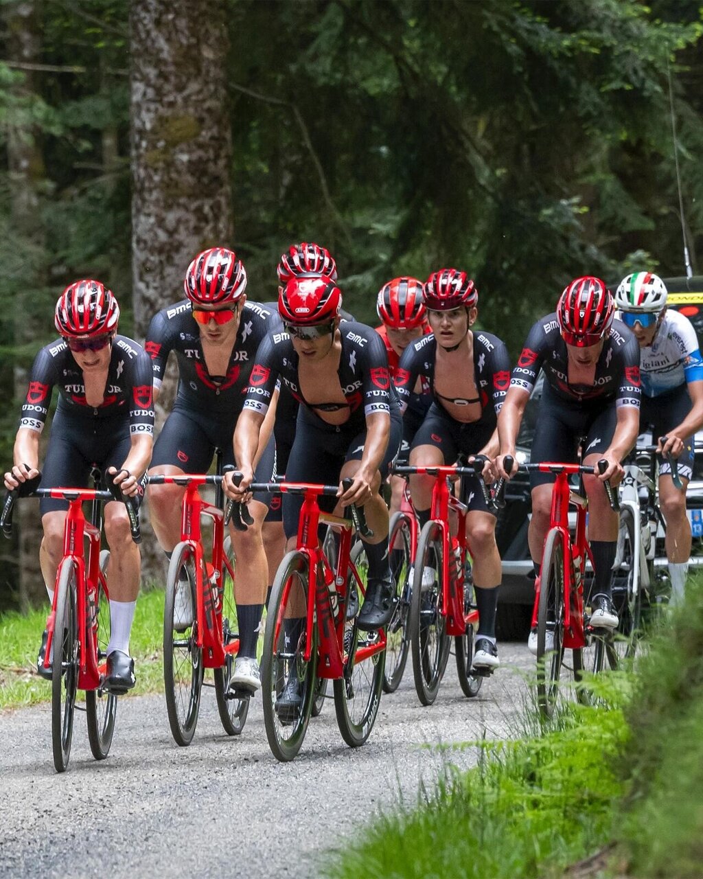  Tudor Pro Cycling confirma presença na "Figueira Champions / Casino Figueira"