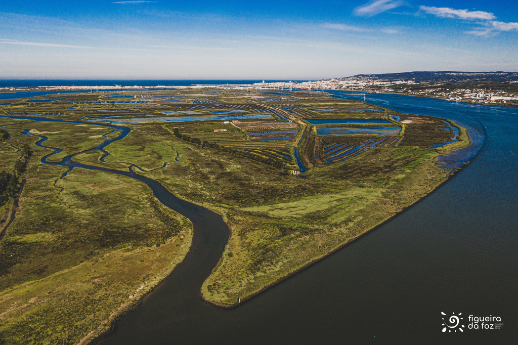 Aprovada candidatura a projeto de monotorização contínua do estuário do rio Mondego 