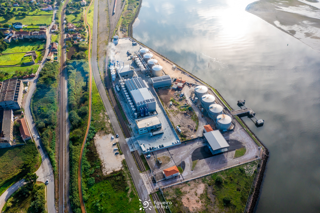 Comunicado | Intenção de suspensão imediata do acompanhamento da candidatura a reconhecimento Pot...