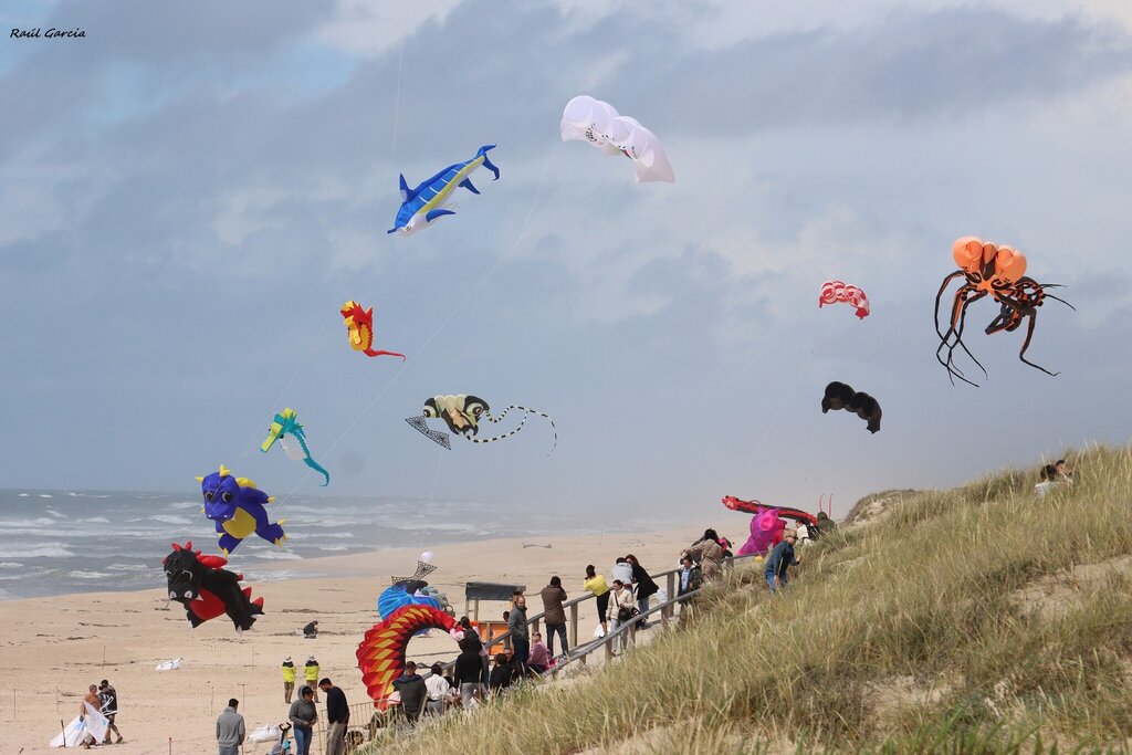 Festival de Papagaios levou «Cores no Ar, Magia no Olhar» à Praia de Quiaios