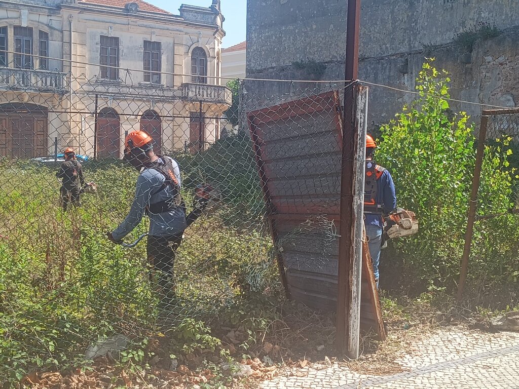 Coima "pesada" para proprietário que incumpre com limpeza de terreno no perímetro urbano 