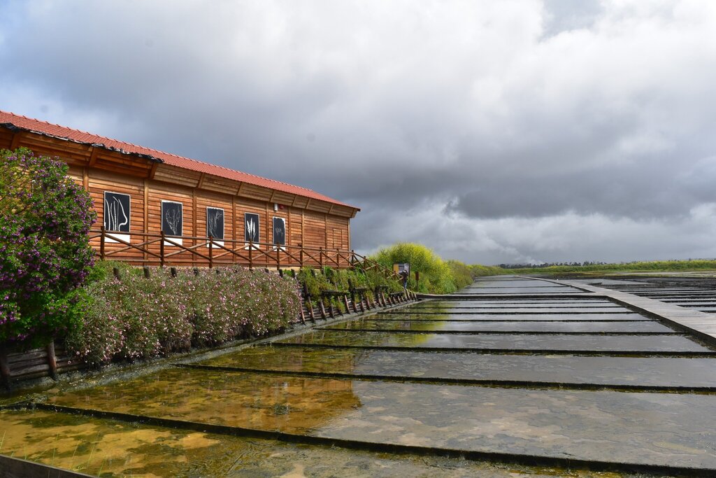 (A) gosto continua a ter sabor a sal 