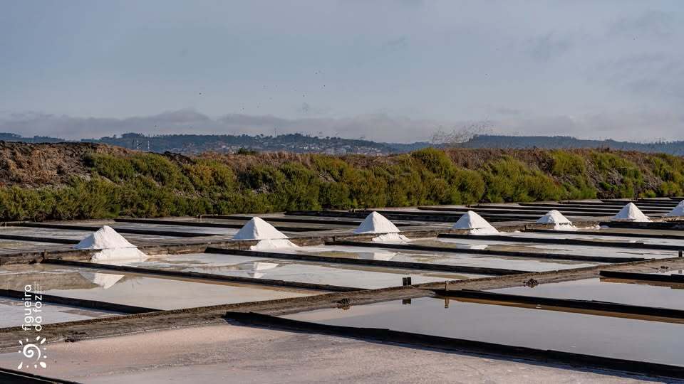 Figueira da Foz leva sal artesanal tradicional à "Cidade das Tradições" 