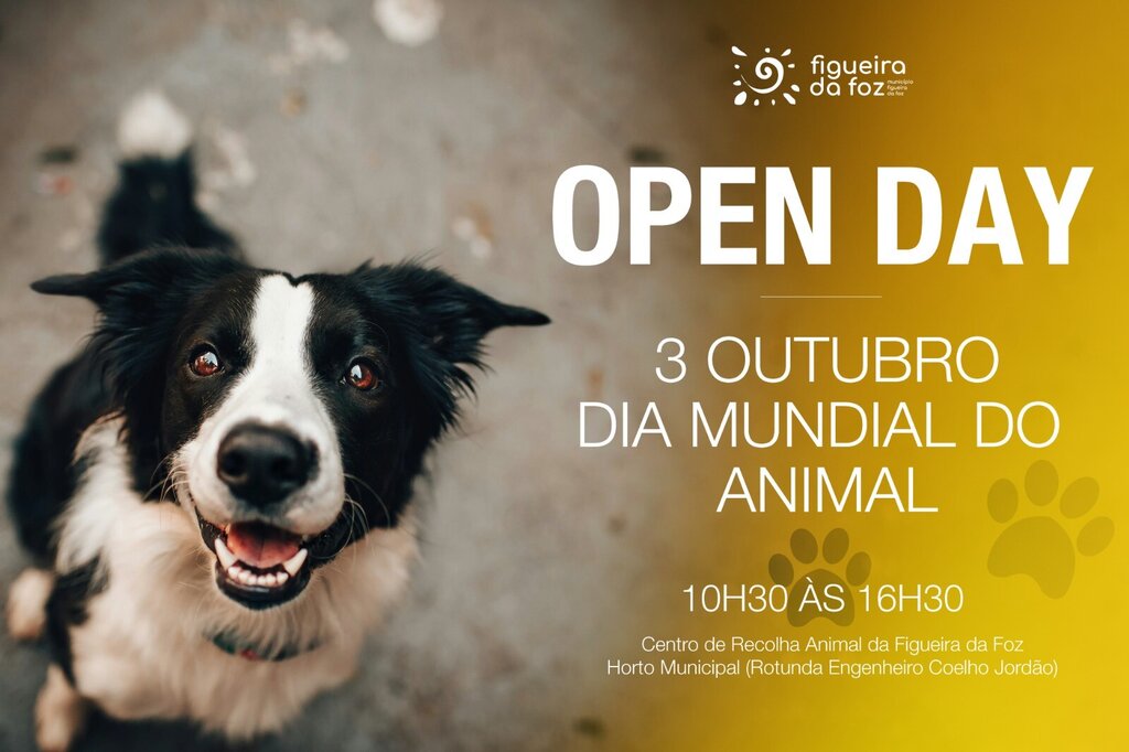 Município promove "Open Day" e a adoção consciente de animais de companhia 