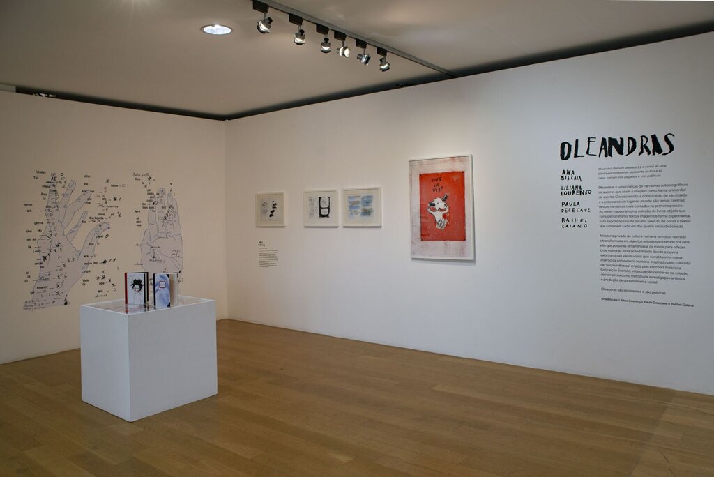 CAE inaugurou três novas exposições 